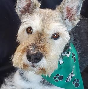 Meet your Posher, Rhonda